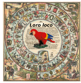 lorito loco