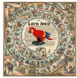 lorito loco